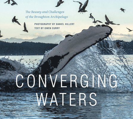 Gwen Curry - Converging Waters, Inbunden. Tillgänglighet: Lägg i varukorg