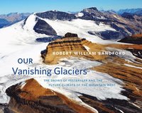 bokomslag Our Vanishing Glaciers