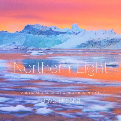 Dave Brosha - Northern Light, Inbunden. Tillgänglighet: Lägg i varukorg