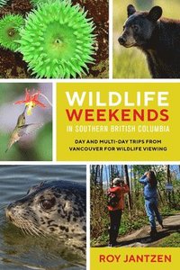 bokomslag Wildlife Weekends in Southern British Columbia