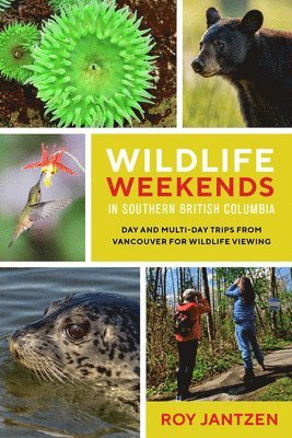 Wildlife Weekends in Southern British Columbia 1