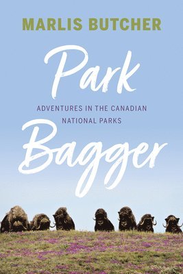 Park Bagger 1