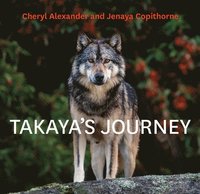 bokomslag Takaya's Journey