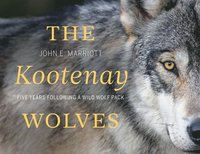 bokomslag Kootenay Wolves
