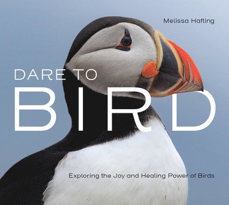 Dare to Bird 1