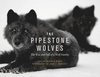 bokomslag The Pipestone Wolves