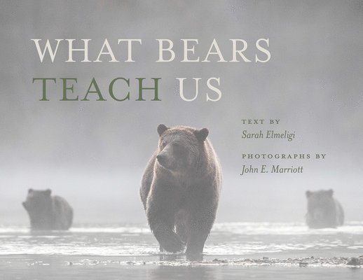 What Bears Teach Us 1