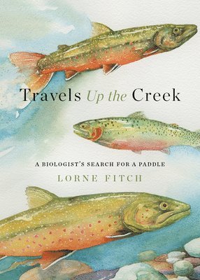 Travels Up the Creek 1