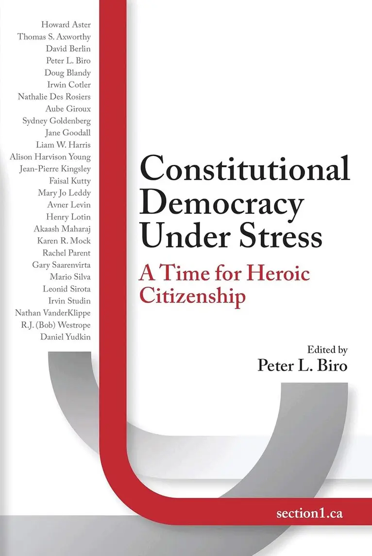 Peter L Biro - Constitutional Democracy Under Stress, Häftad. Tillgänglighet: Lägg i varukorg