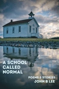 bokomslag A School Called Normal