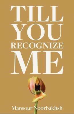 Till You Recognize Me: Poems 1