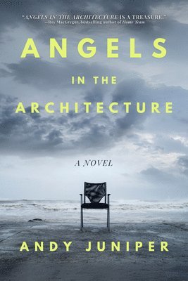 bokomslag Angels in the Architecture