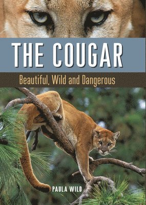Paula Wild - Cougar, Inbunden