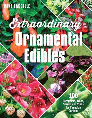 bokomslag Extraordinary Ornamental Edibles