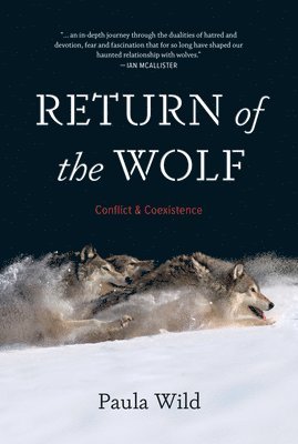 Return of the Wolf 1