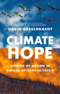 bokomslag Climate Hope