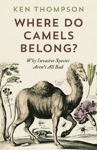 bokomslag Where Do Camels Belong?: Why Invasive Species Aren't All Bad