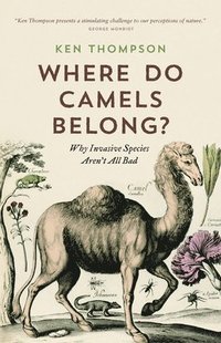 bokomslag Where Do Camels Belong?: Why Invasive Species Aren't All Bad