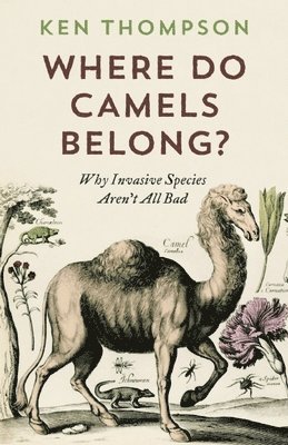 Where Do Camels Belong?: Why Invasive Species Aren't All Bad 1