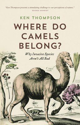 Where Do Camels Belong?: Why Invasive Species Aren't All Bad 1