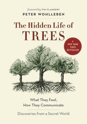 bokomslag The Hidden Life of Trees