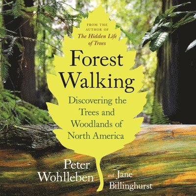 Forest Walking: Discovering the Trees and Woodlands of North America 1