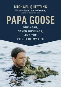 bokomslag Papa Goose