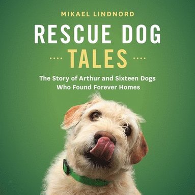 bokomslag Rescue Dog Tales: The Story of Arthur and Sixteen Dogs Who Found Forever Homes