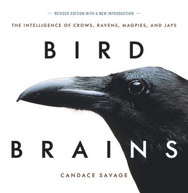 Candace Savage - Bird Brains, Häftad