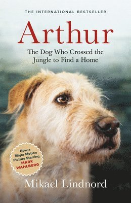 Arthur: The Dog Who Crossed the Jungle to Find a Home 1