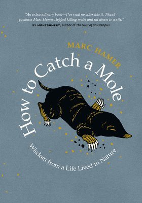 bokomslag How to Catch a Mole: Wisdom from a Life Lived in Nature