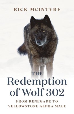 The Redemption of Wolf 302 1