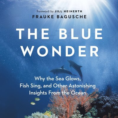 The Blue Wonder 1