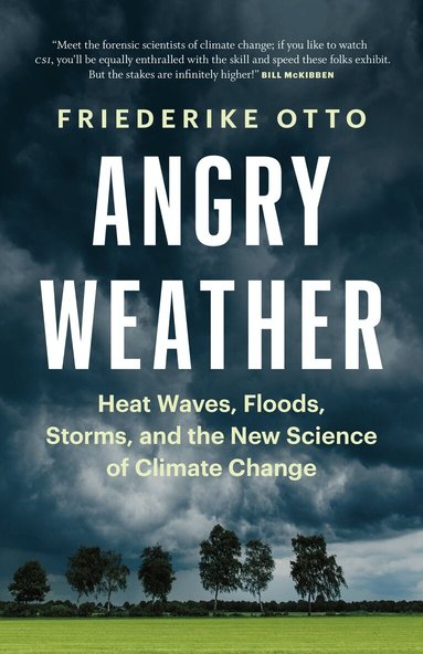 Friederike Otto - Angry Weather, Inbunden