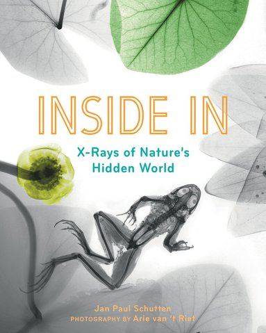 Jan Paul Schutten - Inside In, Inbunden