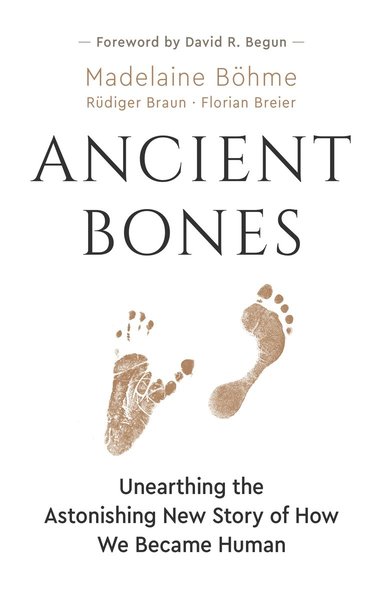 Madelaine Bhme, Rdiger Braun, Florian Breier - Ancient Bones, Inbunden