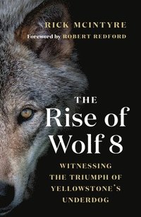 bokomslag The Rise of Wolf 8