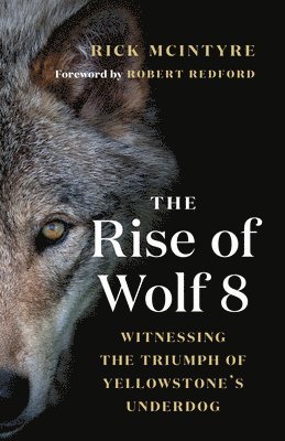 Rick McIntyre, Rick Mcintyre - Rise of Wolf 8, Häftad