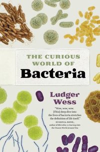 bokomslag The Curious World of Bacteria