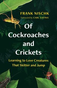 bokomslag Of Cockroaches and Crickets