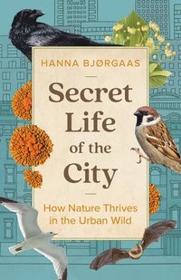 bokomslag Secret Life of the City