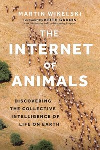 bokomslag The Internet of Animals