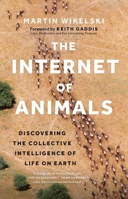 bokomslag Internet of Animals