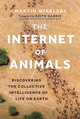 The Internet of Animals 1