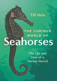bokomslag The Curious World of Seahorses