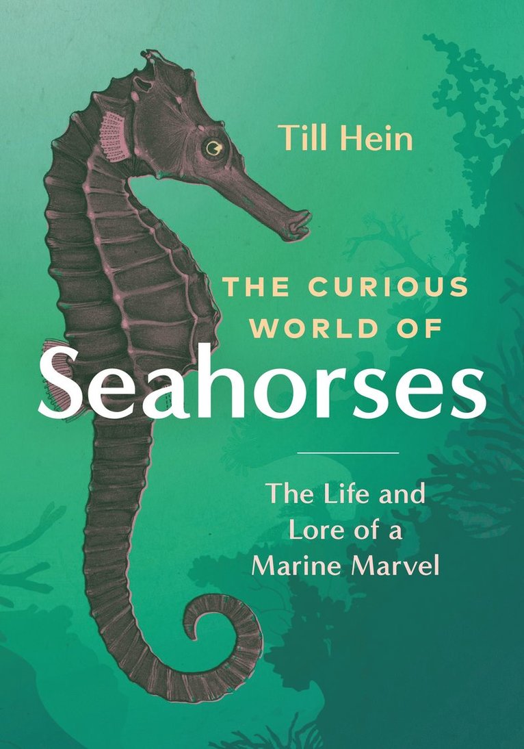 Till Hein - Curious World of Seahorses, Inbunden