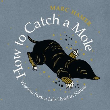 bokomslag How to Catch a Mole: Wisdom from a Life Lived in Nature