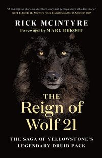 bokomslag The Reign of Wolf 21