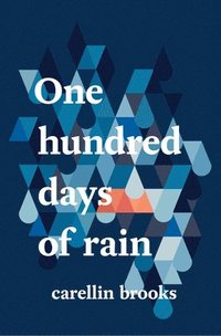 bokomslag One Hundred Days of Rain