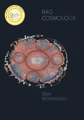 bokomslag Rag Cosmology